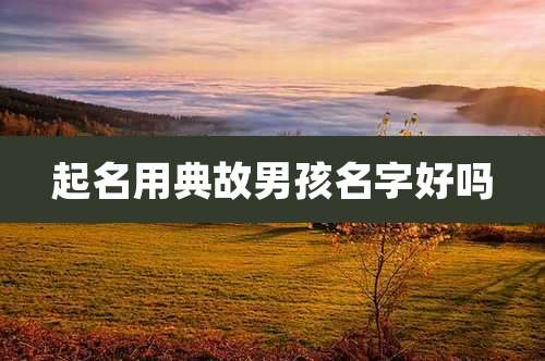 起名用典故男孩名字好吗