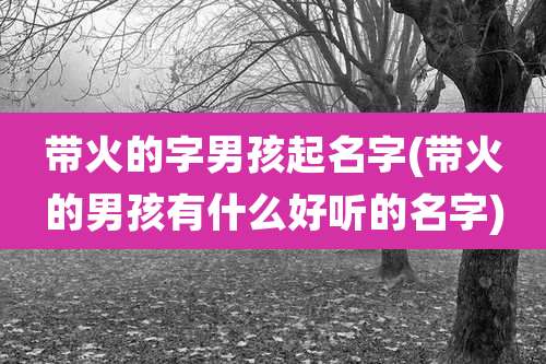 带火的字男孩起名字(带火的男孩有什么好听的名字)