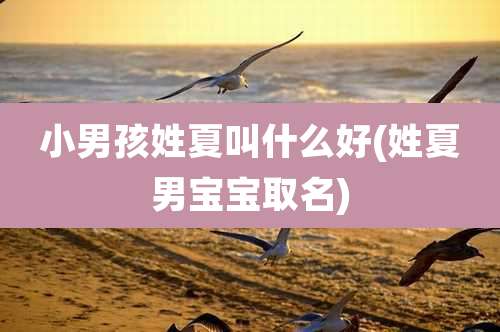 小男孩姓夏叫什么好(姓夏男宝宝取名)