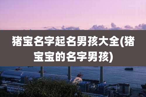 猪宝名字起名男孩大全(猪宝宝的名字男孩)