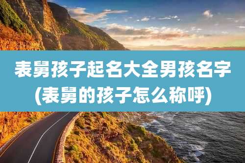 表舅孩子起名大全男孩名字(表舅的孩子怎么称呼)