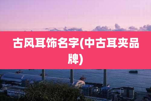 古风耳饰名字(中古耳夹品牌)