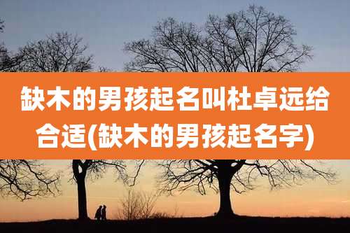 缺木的男孩起名叫杜卓远给合适(缺木的男孩起名字)