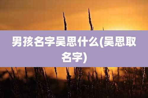 男孩名字吴思什么(吴思取名字)