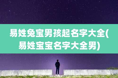 易姓兔宝男孩起名字大全(易姓宝宝名字大全男)