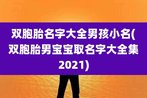 双胞胎名字大全男孩小名(双胞胎男宝宝取名字大全集2021)