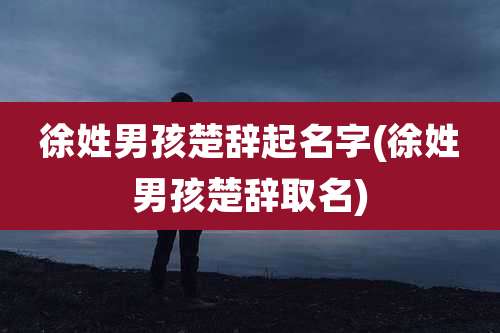 徐姓男孩楚辞起名字(徐姓男孩楚辞取名)