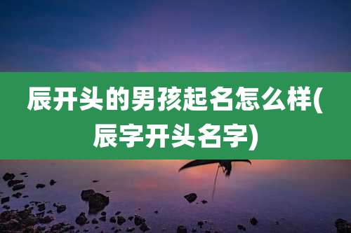 辰开头的男孩起名怎么样(辰字开头名字)