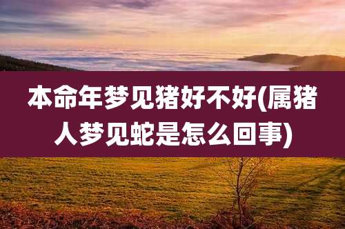 本命年梦见猪好不好(属猪人梦见蛇是怎么回事)