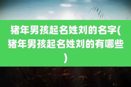 猪年男孩起名姓刘的名字(猪年男孩起名姓刘的有哪些)