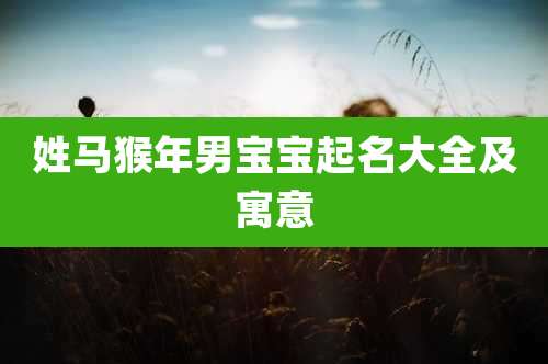 姓马猴年男宝宝起名大全及寓意