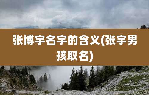 张博宇名字的含义(张宇男孩取名)