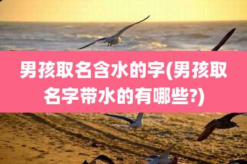 男孩取名含水的字(男孩取名字带水的有哪些?)