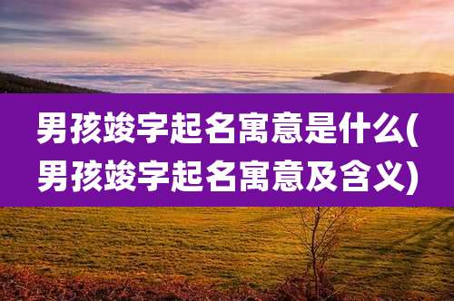 男孩竣字起名寓意是什么(男孩竣字起名寓意及含义)