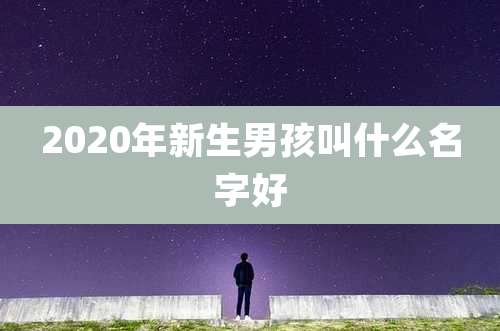 2020年新生男孩叫什么名字好