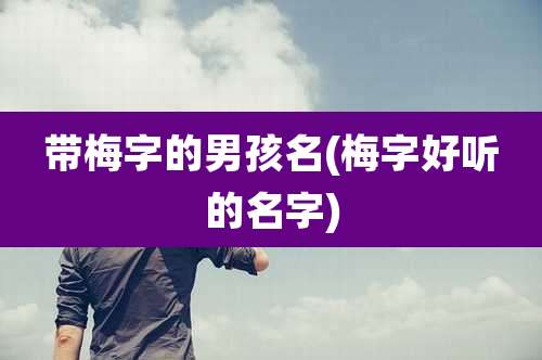 带梅字的男孩名(梅字好听的名字)