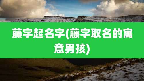 藤字起名字(藤字取名的寓意男孩)