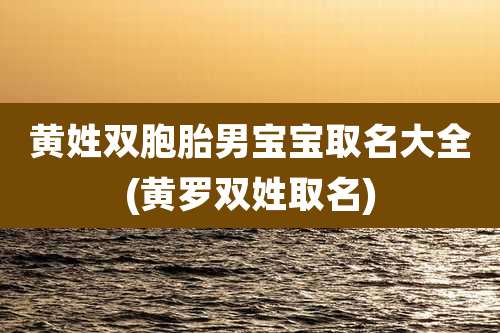 黄姓双胞胎男宝宝取名大全(黄罗双姓取名)