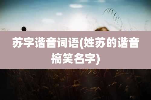 苏字谐音词语(姓苏的谐音搞笑名字)