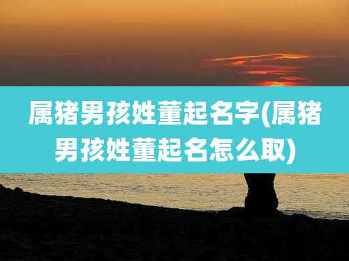 属猪男孩姓董起名字(属猪男孩姓董起名怎么取)