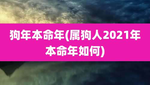狗年本命年(属狗人2021年本命年如何)