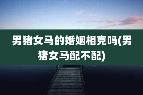 男猪女马的婚姻相克吗(男猪女马配不配)