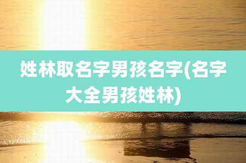 姓林取名字男孩名字(名字大全男孩姓林)