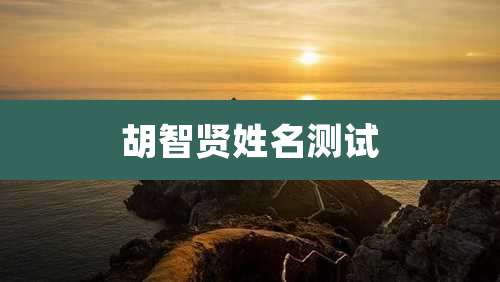 胡智贤姓名测试