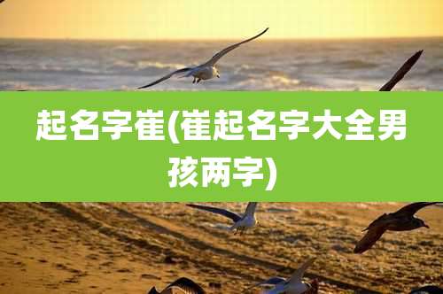 起名字崔(崔起名字大全男孩两字)