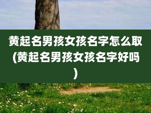 黄起名男孩女孩名字怎么取(黄起名男孩女孩名字好吗)