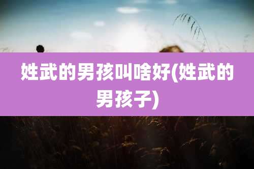 姓武的男孩叫啥好(姓武的男孩子)