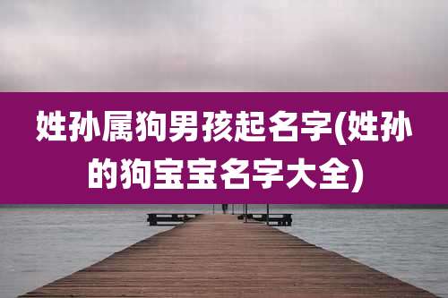姓孙属狗男孩起名字(姓孙的狗宝宝名字大全)