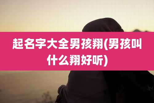 起名字大全男孩翔(男孩叫什么翔好听)