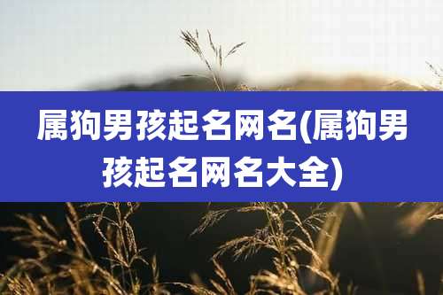 属狗男孩起名网名(属狗男孩起名网名大全)