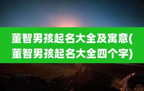 董智男孩起名大全及寓意(董智男孩起名大全四个字)