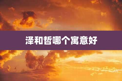 泽和哲哪个寓意好