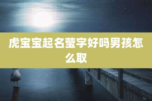 虎宝宝起名莹字好吗男孩怎么取