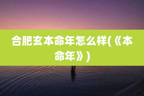 合肥玄本命年怎么样(《本命年》)