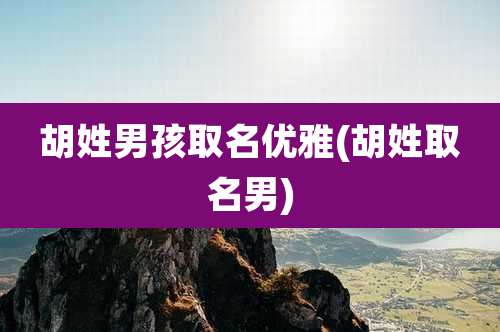 胡姓男孩取名优雅(胡姓取名男)