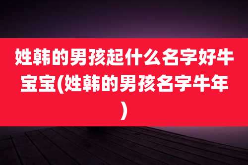 姓韩的男孩起什么名字好牛宝宝(姓韩的男孩名字牛年)