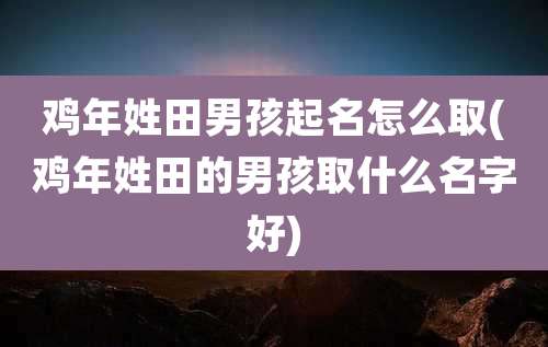 鸡年姓田男孩起名怎么取(鸡年姓田的男孩取什么名字好)
