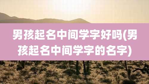 男孩起名中间学字好吗(男孩起名中间学字的名字)