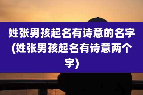 姓张男孩起名有诗意的名字(姓张男孩起名有诗意两个字)