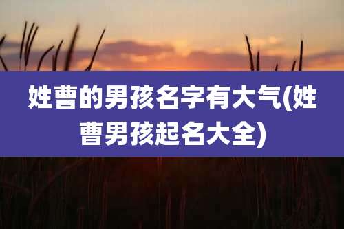 姓曹的男孩名字有大气(姓曹男孩起名大全)