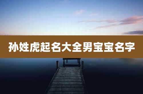 孙姓虎起名大全男宝宝名字