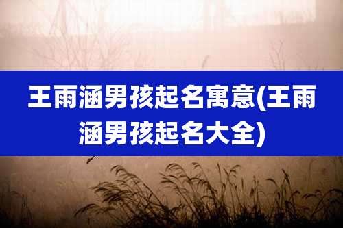 王雨涵男孩起名寓意(王雨涵男孩起名大全)