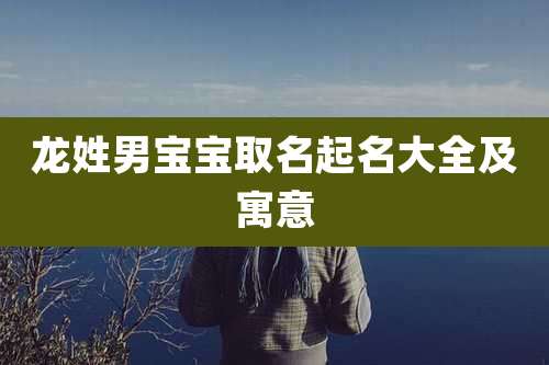 龙姓男宝宝取名起名大全及寓意