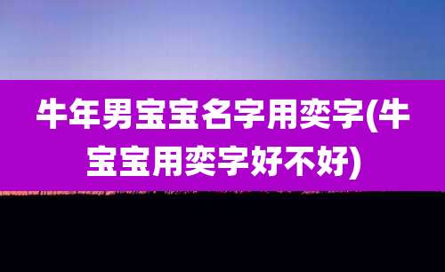 牛年男宝宝名字用奕字(牛宝宝用奕字好不好)