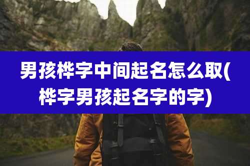 男孩桦字中间起名怎么取(桦字男孩起名字的字)
