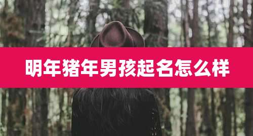 明年猪年男孩起名怎么样